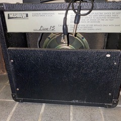 washburn live15の画像
