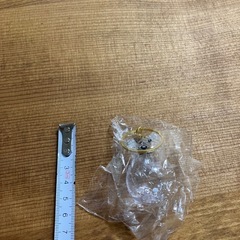 【未開封】動物の毛を入れるキーホルダーの画像