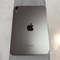 iPad mini A17 Pro 第7世代 128GB WiFi+Cellularモデルの画像