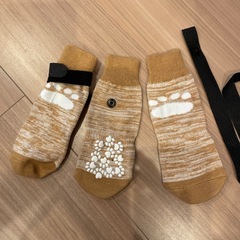 ペットソックスの画像