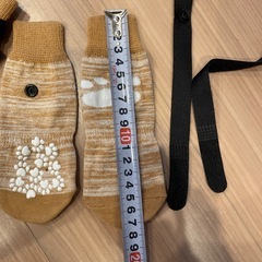 ペットソックスの画像