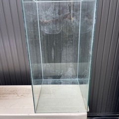 ガラス水槽60センチの画像