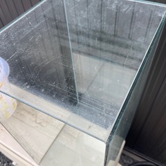 ガラス水槽60センチの画像