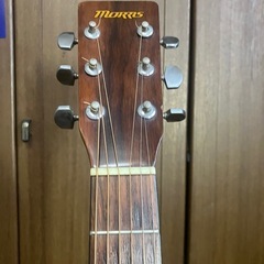 モーリス　アコースティックギター　MD-201Nの画像