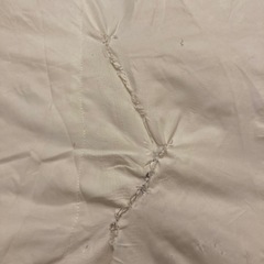 ニトリ　羽毛布団　シングルの画像