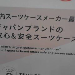 コストコ品番　 74615　エース イグザクト 機内持込みサイズ スーツケース （拡張機能付き）ピンク　 A17046の画像