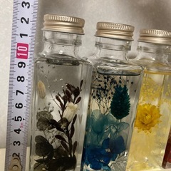 ハーバリウム　５本セット　インテリア　雑貨　の画像