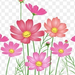 お友達募集🕯️🥐🧁