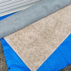 🧸【美品】ニトリ ラグマット PBシャギー 200×240cm✨の画像
