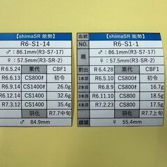 【♂84.9】能勢SR血統オオクワガタ新成虫ペア+オマケ♀【♀55.4】の画像
