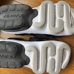 エアマックスココの画像