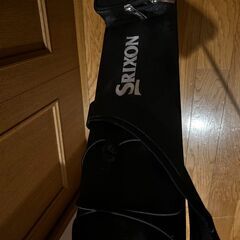 【クラブケース付属】Titleist タイトリスト アイアン10本セット レフティの画像
