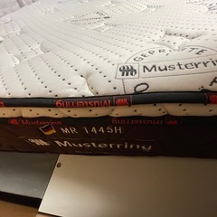 ドイツ製　シングル　マットレスの画像