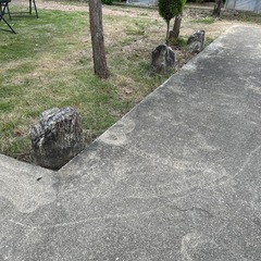 庭石の画像