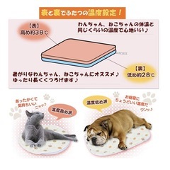アイリスオーヤマペットホットカーペットの画像
