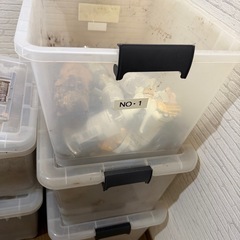 むしかごなど虫かごなどの画像