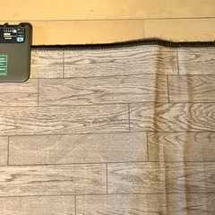 【美品】ホットカーペット(木目) SYC-FB30G(M)の画像