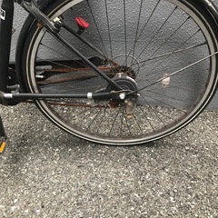 自転車、満身創痍ですがの画像