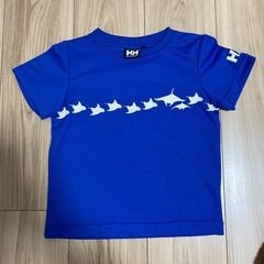HELLY HANSEN 100cm まとめ売りの画像