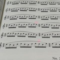 セヴシック バイオリン教本 OPUS1 PART1の画像