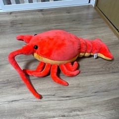 エビ　ぬいぐるみの画像