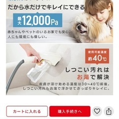 美品　アイリスオーヤマ　コードレスリンサークリーナーの画像