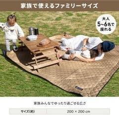 【美品】viaggio キルティングピクニックマットの画像