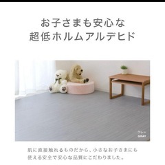 ジョイントマット60センチ　25枚の画像