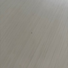 ［お話し中］こたつテーブルの画像