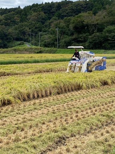  令和7年産　新米
コシヒカリ玄米　30kg  