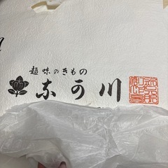 夏用長襦袢の画像