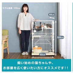 キャットゲージ/グレージュの画像