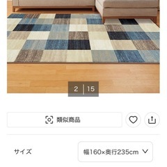 ⭐️商談中⭐️ウィルトン織ラグ　　カリプソン　　160✖️235の画像