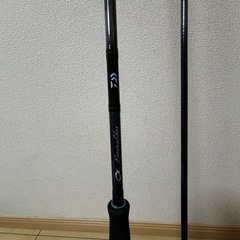 ダイワ エメラルダス MX IL    86MLの画像