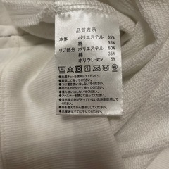ディズニー　トレーナーの画像