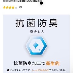 抗菌防臭掛ふとん シングル(K2428 S) 商品コード   2115100045351の画像