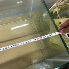本日でも可能ガラス水槽の画像