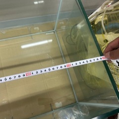 本日でも可能ガラス水槽の画像