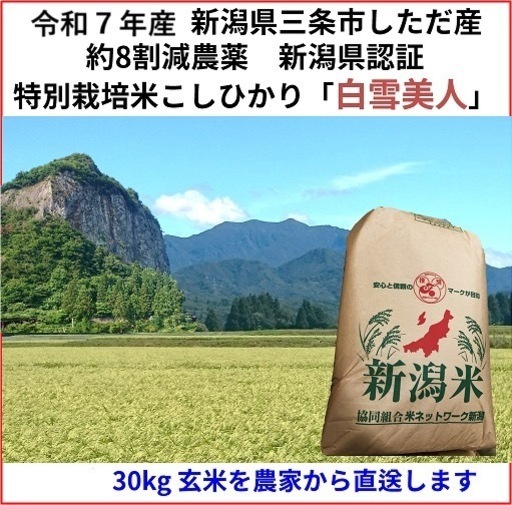 令和7年産　減農薬　新潟こしひかり玄米30kg　新潟県三条市旧しただ村産　減農薬　特別栽培米100%白雪美人　グルテンフリー　送料無料