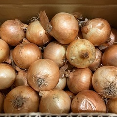 【北海道産】じゃがいも、玉ねぎ 各20kgの画像
