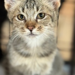 10/26(日)可愛い仲良し兄弟