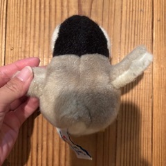 ペンギンのぬいぐるみの画像