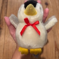 ペンギンのぬいぐるみの画像