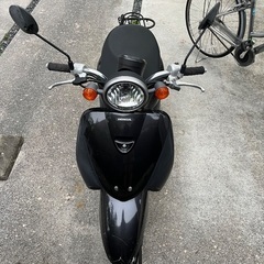 ホンダ トゥディ AF67  原付バイクの画像