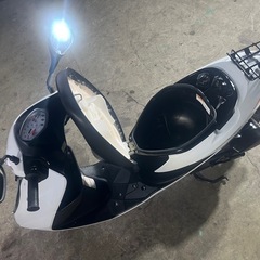 スズキ アドレスV50 CA44A 5270km 原付 4スト 無料配送有 現状販売 現車確認必須❗️ バンガレージ神奈川の画像