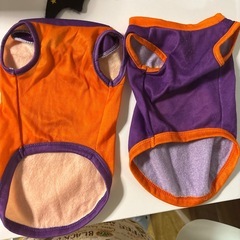 ハロウィン 犬服 Lサイズ ハロウィン仮装 ダイソー せっとセットの画像