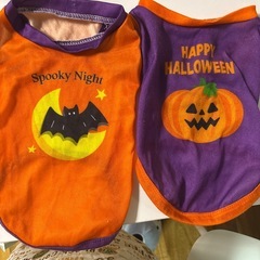 ハロウィン 犬服 Lサイズ ハロウィン仮装 ダイソー せっとセットの画像