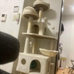 キャットタワーの画像