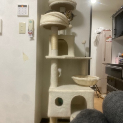 キャットタワー