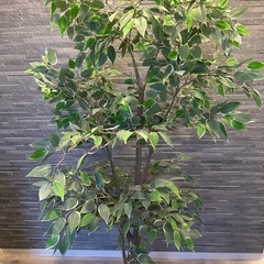 イケア 人工観葉植物 フェイカの画像